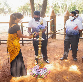 Pinnawala Elephant Orphanage