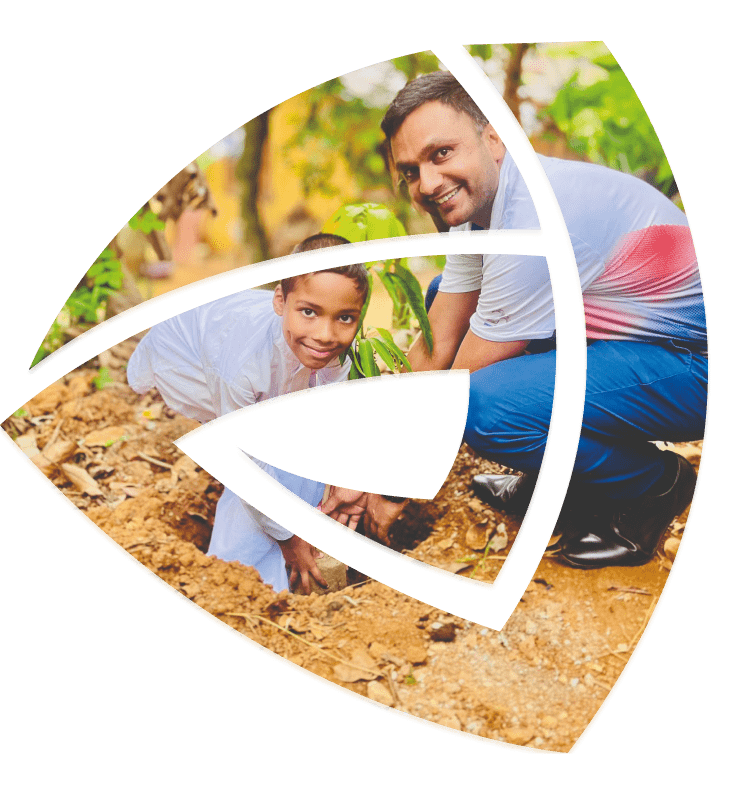Partnerships